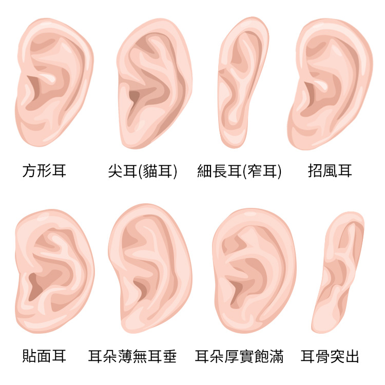 耳朵形狀的分類分成這幾種，各種耳朵形狀適合的耳環都不同！