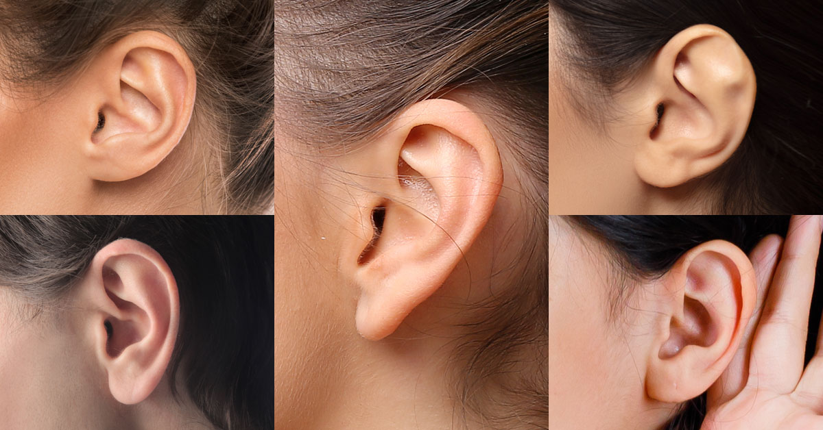 耳朵形狀其實悄悄地透露出性格，女孩們有注意到嗎？