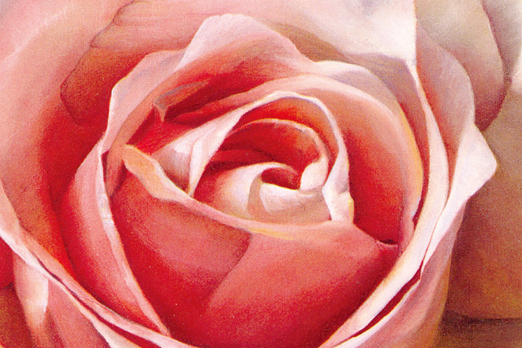鄉村花卉粉色玫瑰 | 手繪油畫 場景展示
