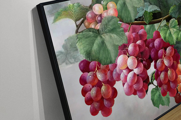 葡萄 | 手繪油畫 場景展示